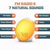 Sunrise Wake-Up Light Alarm Clock with Adjustable Sound & Night Light Neriona