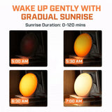 Sunrise Wake-Up Light Alarm Clock with Adjustable Sound & Night Light Neriona