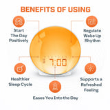 Sunrise Wake-Up Light Alarm Clock with Adjustable Sound & Night Light Neriona